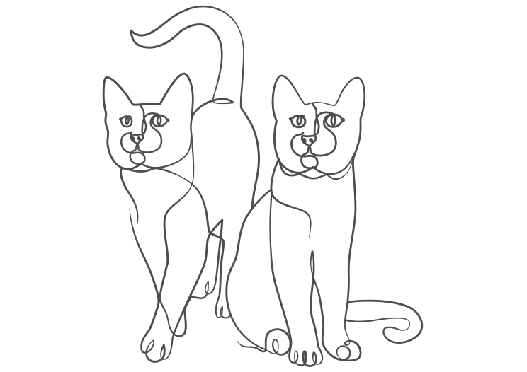 Cat - 2 Full Body c
