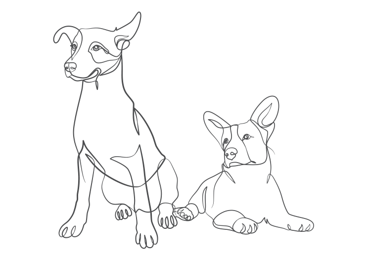 Dog - Sitting & Standing c Pet's Emergency & Critical Care service
