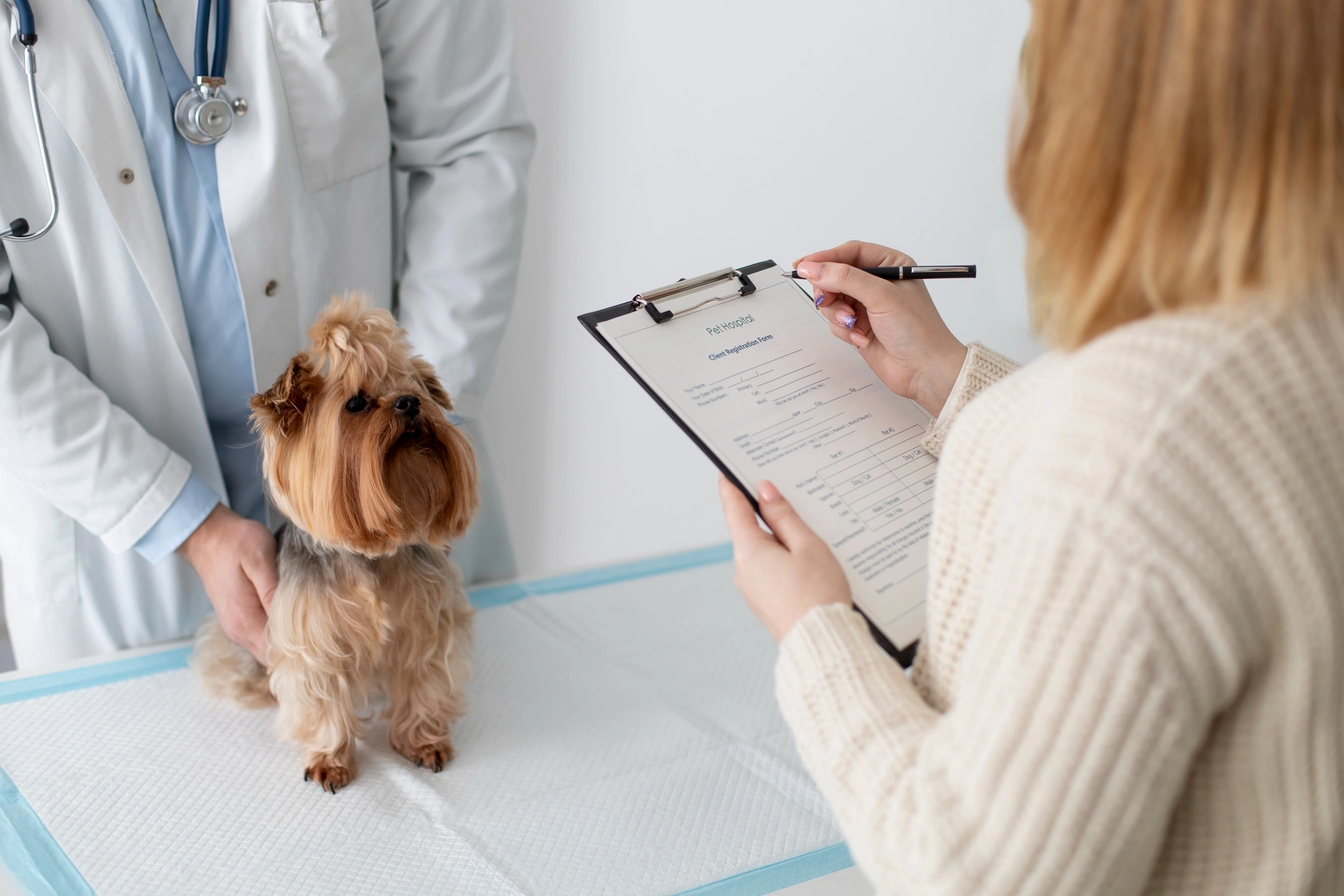 veterinarian-yorkshire-terrier-pet-owner-forms-vet-hospital Veterinarian holding a small Yorkshire terrier while a pet owner fills out registration forms at a clinic or animal hospital.