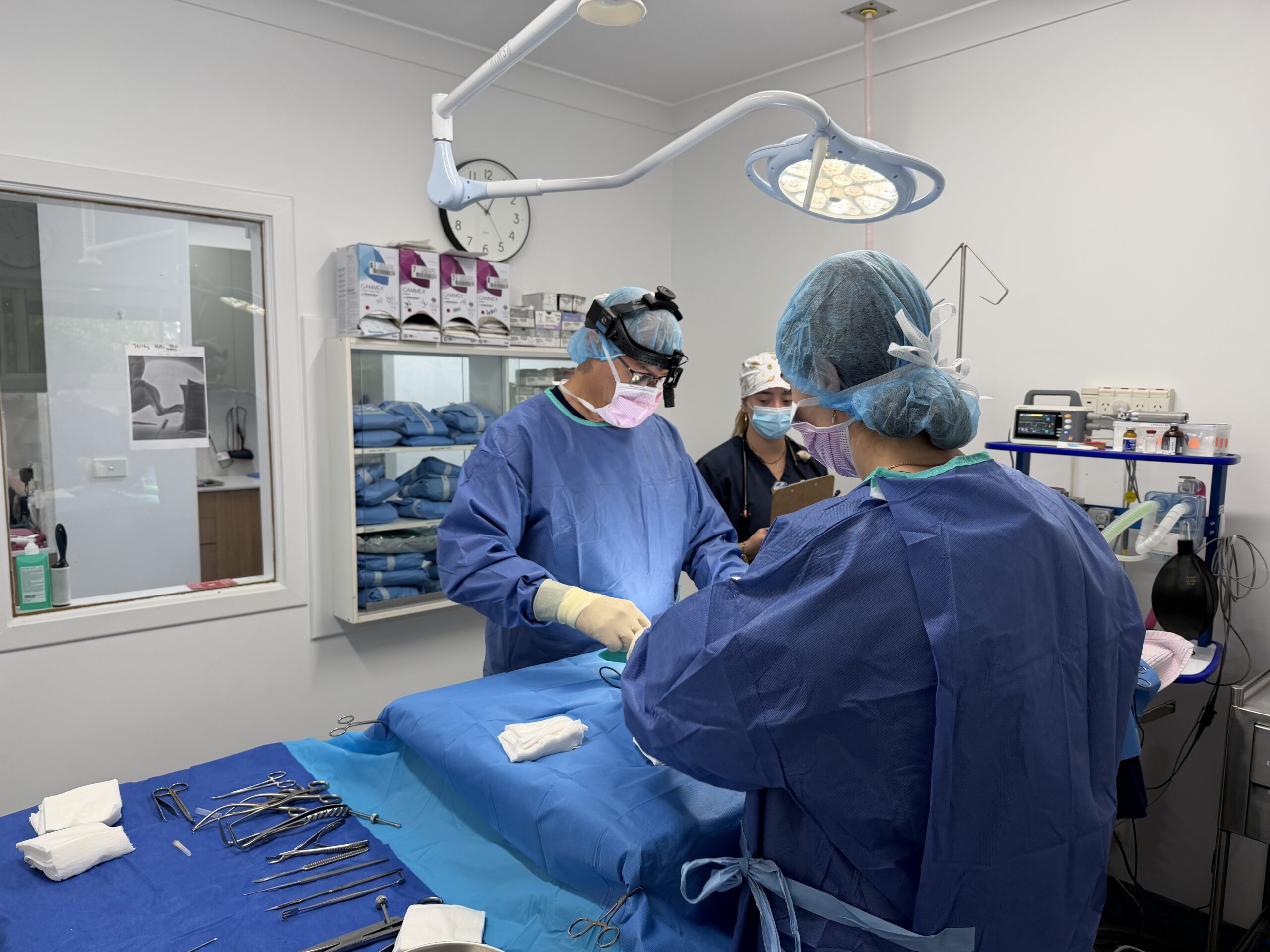 The Pet Specialists Mobile surgical team performing an on-site procedure